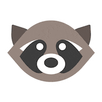 Raccoon Sticker