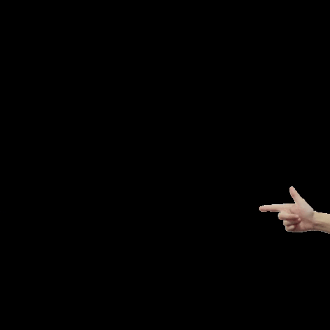 Studiocooliejoelie giphygifmaker GIF
