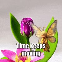 Time-Lapse Flower GIF by BuddhaFlyJourney