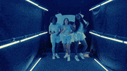 North Carolina GIF by UNC Tar Heels