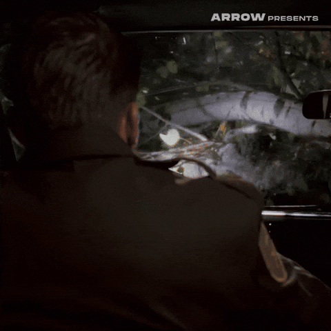 High School Film GIF by Arrow Video