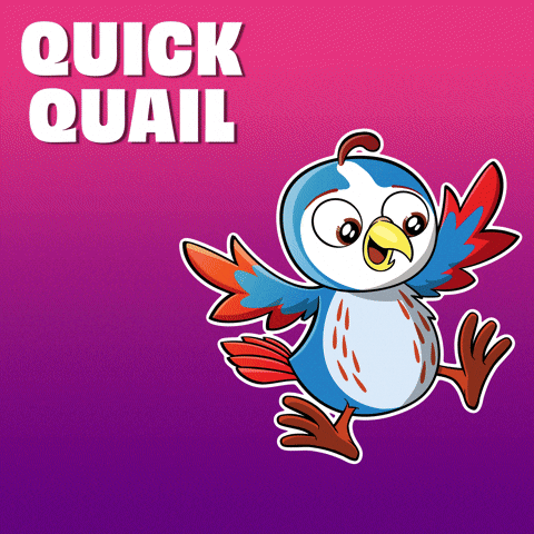 Bird Survives GIF by VeeFriends