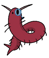 Loop Discover Sticker