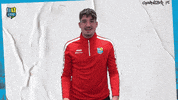 Football Tor GIF by ChemnitzerFC