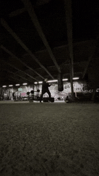 Martial Arts Gym GIF by Casol