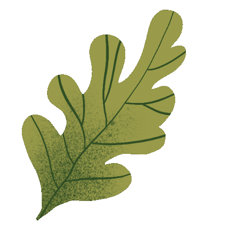 Flower Leaf Sticker by TOrZoNBorZ