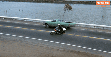 harold and maude GIF by Turner Classic Movies
