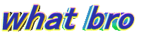 Bro What Sticker by GIPHY Text