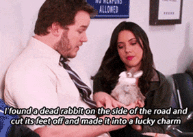 parks and rec GIF