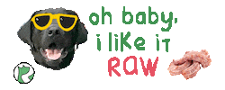 I Like It Raw Rdb Sticker by realdogbox