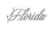 Florida Gators Calligraphy Sticker by Gazing Through Glass