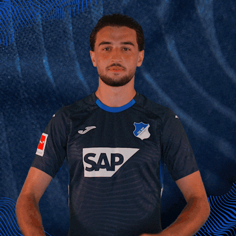 Sport Bundesliga GIF by TSG Hoffenheim