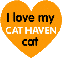 Cats Sticker by Cat Haven WA