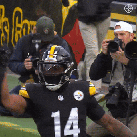 Excited Celebration GIF by Pittsburgh Steelers