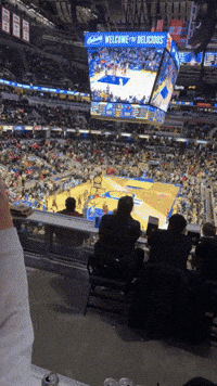 Pacers Gamewinner GIF