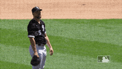 Regular Season Sport GIF by MLB