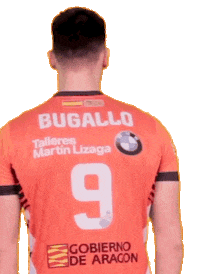 Cvteruel Sticker by Club Voleibol Teruel