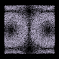 black and white loop GIF by roberthruska