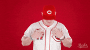 Baseball Mlb GIF by Cincinnati Reds