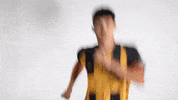South Carolina Sport GIF by Charleston Battery
