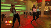 GIF by TVP.PL