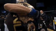 ufc 232 sport GIF by UFC