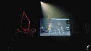 Basketball Dunk GIF by NBA