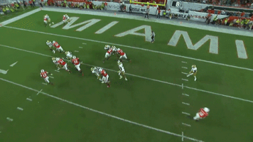 college football GIF by Miami Hurricanes