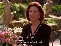 season 2 netflix GIF by Gilmore Girls 