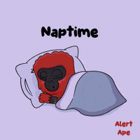 Dont Look Sleeping GIF by VeeFriends