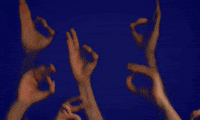 AprendeInstitute  GIF