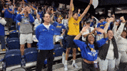 New York Basketball GIF by Hofstra University