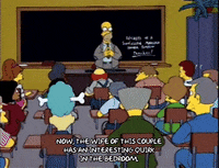 homer simpson episode 22 GIF