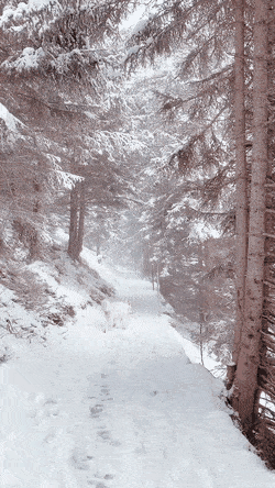 ehdgus1211 giphyupload GIF