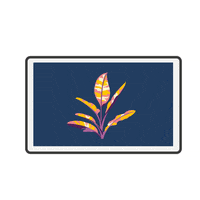 MoolMX diseno print planta encasa GIF