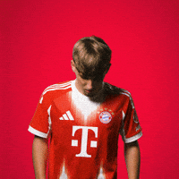 Karl Armeverschränken GIF by FC Bayern Munich