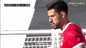 Breathe Sl Benfica GIF by Sport Lisboa e Benfica