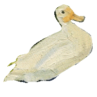 browndogfarmstudio art animals duck painting Sticker