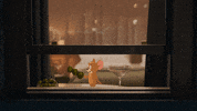 Tom The Cat Lol GIF by Tom & Jerry