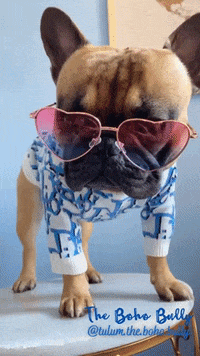 tellacouture  GIF
