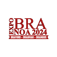 Argentina Braford Sticker by ABA