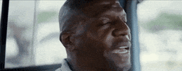 brittanyhoward terry crews stay high brittany howard GIF