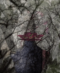 jouzbarosa flower thinking idea eureka GIF