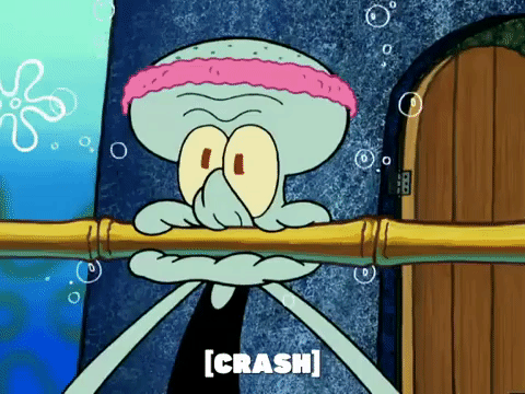 season 5 GIF by SpongeBob SquarePants