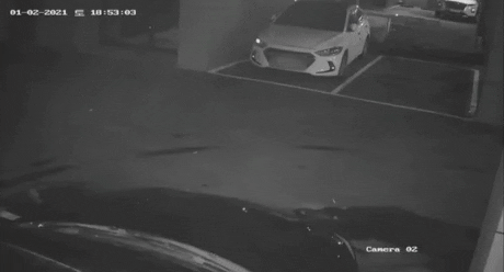 sophiasonge92b giphyupload GIF