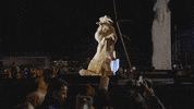 Leann Rimes GIF by HGVSocial