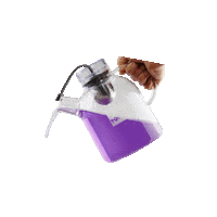 Green Tea Rainbow Sticker by Tea Tonic