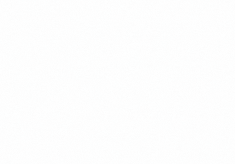 GIF by Tania Gomez Consulting