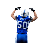 Nfl Preseason Football Sticker by tamperesaints