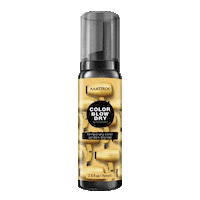 Color Blow Dry Sticker by Matrix